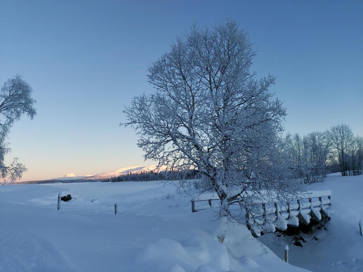 Villmarksgard Tommerstue Hattfjelldal Exterior foto